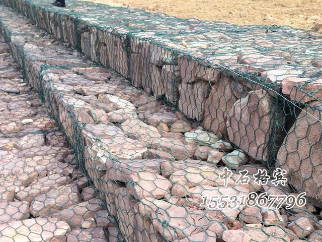 雷諾護墊 雷諾護墊