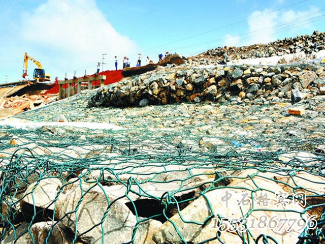 鍍鋅覆塑雷諾護(hù)墊 鍍鋅覆塑雷諾護(hù)墊