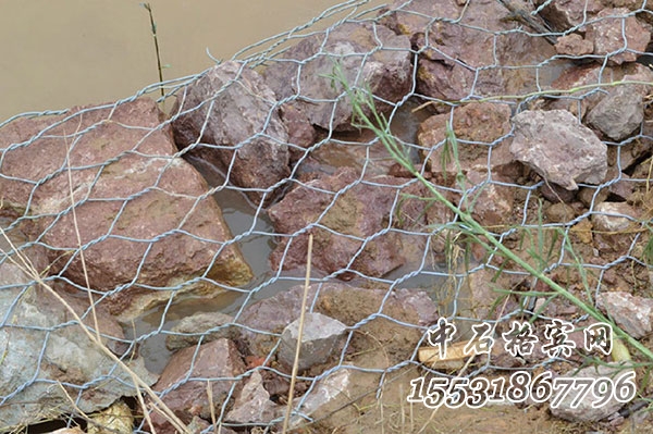 鍍鋅格賓網(wǎng) 鍍鋅格賓網(wǎng)