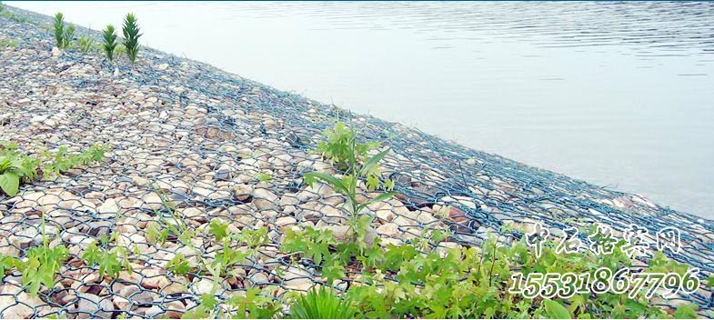 護坡綠濱墊 護坡綠濱墊