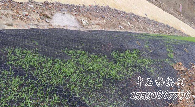 鍍高爾凡加筋三維植物網(wǎng)墊 鍍高爾凡加筋三維植物網(wǎng)墊