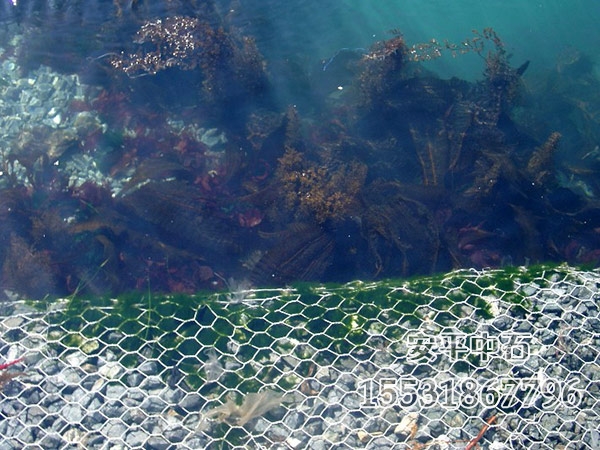 鍍高爾凡格賓網